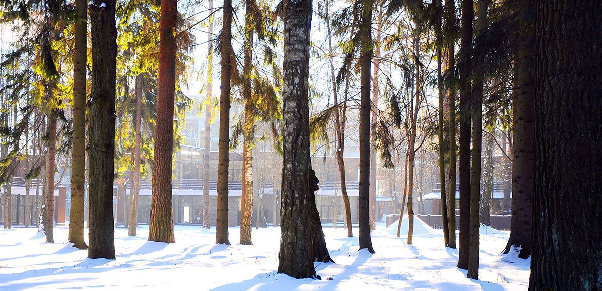 Зимный лес в «Резиденции Рублево»