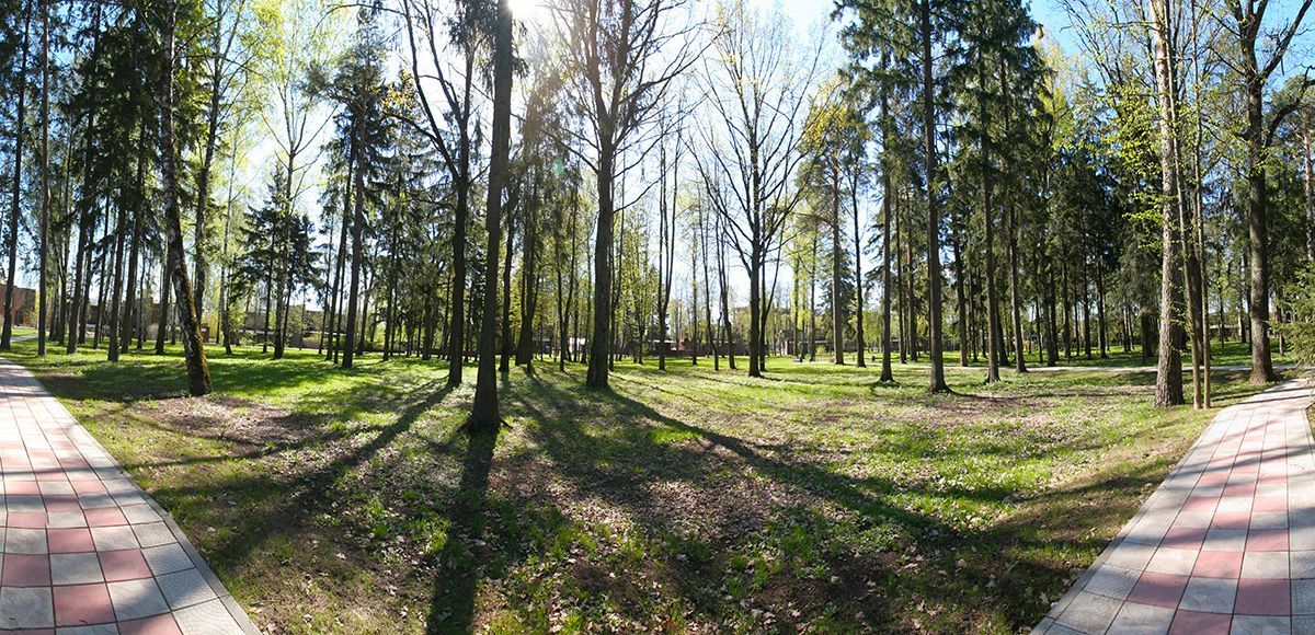 Лесопарковая зона в Резиденции Рублево, весна 2017